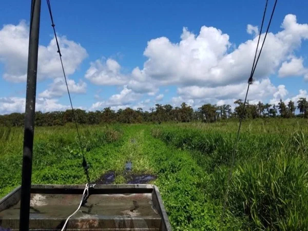 New Orleans Highlights City Tour with an Airboat Swamp Tour