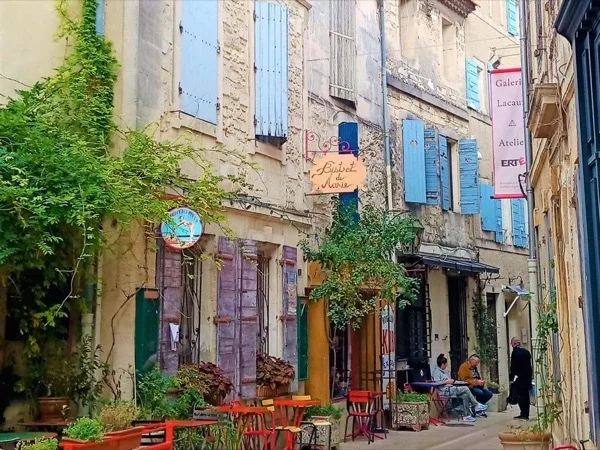 Tastes of Provence, Olive mill and Fig Farm, Full Day Tour from Avignon