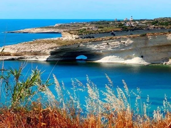 Cover media image