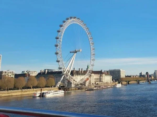London highlight's tour from Southampton, Private Tour