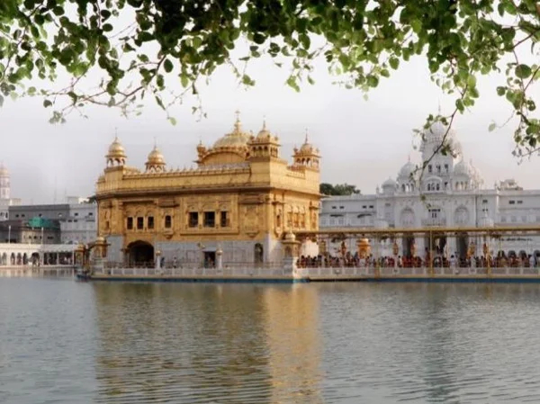 Cover media image