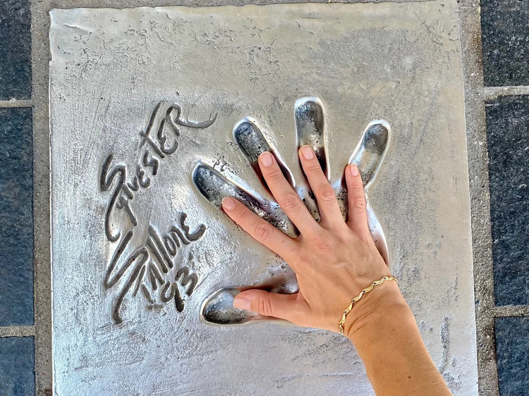 Cover media image