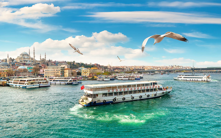 Cover media image
