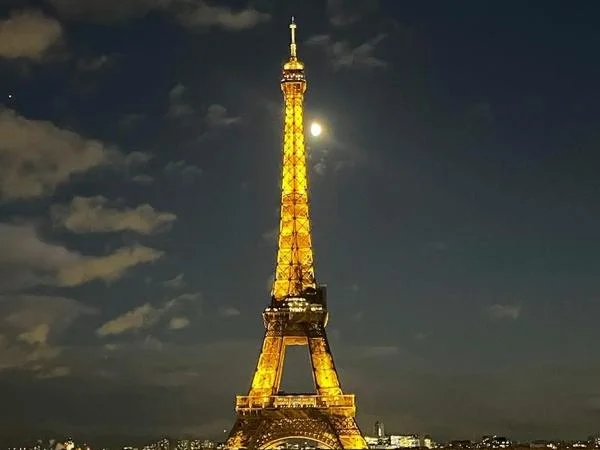 Cover media image