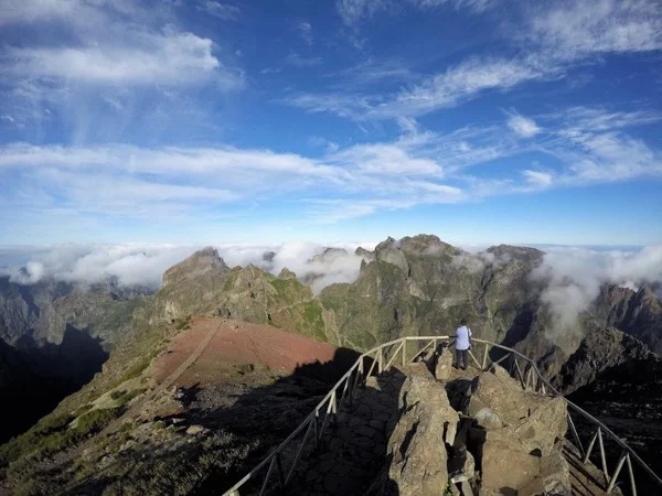 Highlights of Eastern Madeira - Full Day Tour