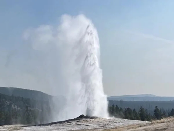All Day in Yellowstone Lower Loop Adventure
