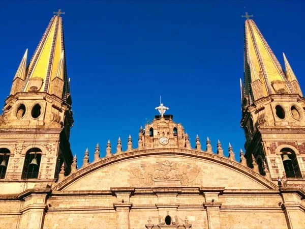 Cover media image
