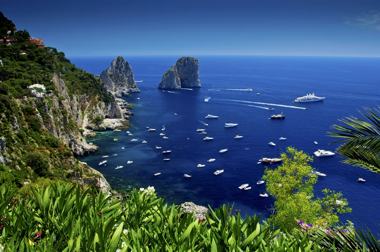 Cover media image