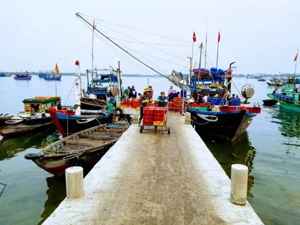Hoi An Sunrise Private Half Day Tour