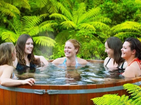 Visit magical Rotorua, its waterfalls, colourful thermal parks - Shore Excursion
