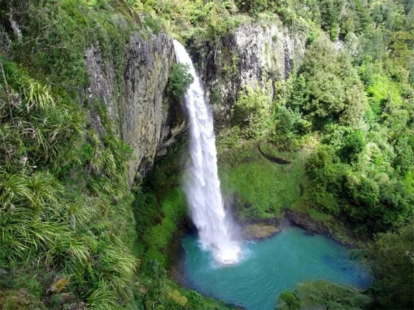 Raglan Day Tour from Auckland