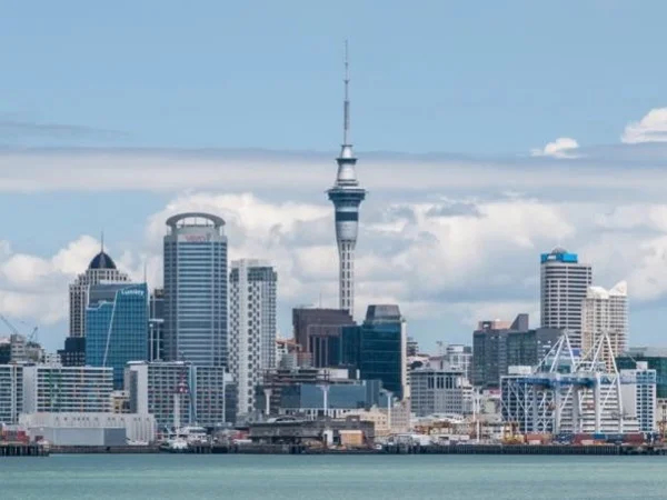 Highlight of Auckland, Friendly and Expert to spend a day in Auckland.