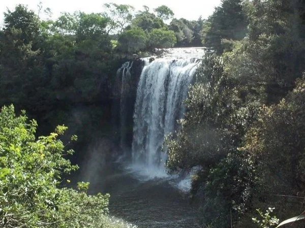 Discover Kerikeri, Where two worlds collided - Private Tour with Local Guide