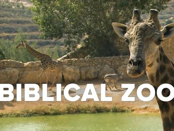 Jerusalem's Biblical Zoo Tour