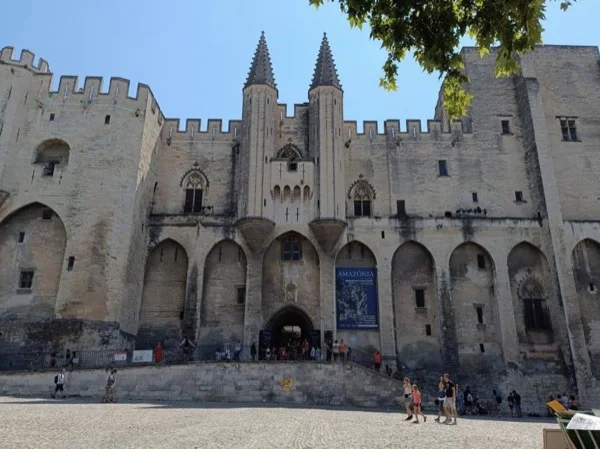The Highlights of Avignon & Roman Aqueduc from Aix en Provence - Private Tour