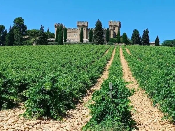Chateauneuf du Pape wine tasting & Highlights of Avignon from Aix en Provence - Private Tour