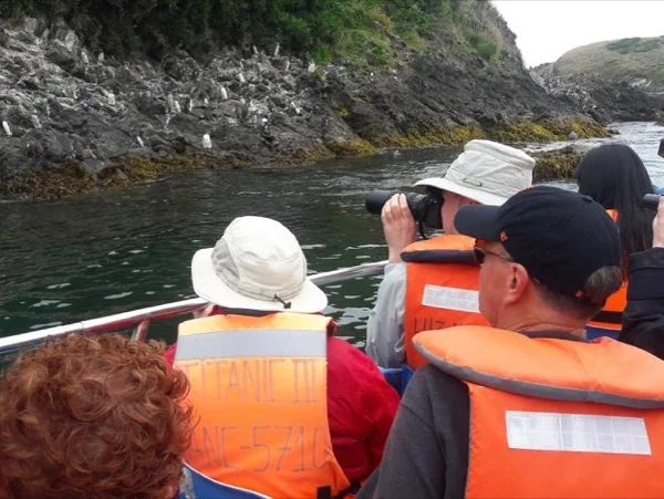 Full day Great Chiloe Island History and Penguins