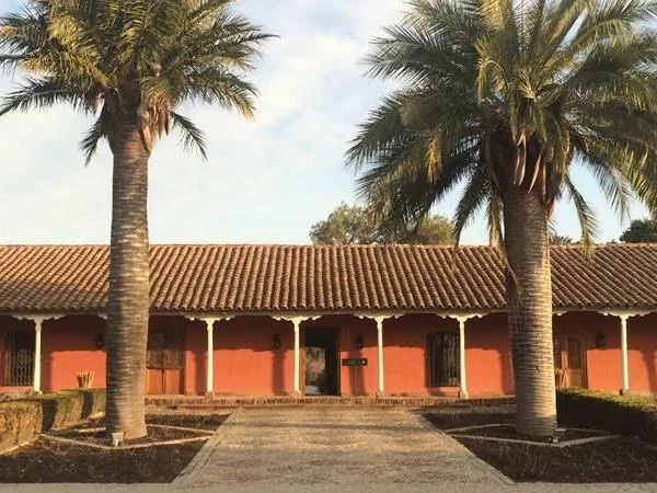 Maipo Valley Full-Day Wine Tour from Santiago