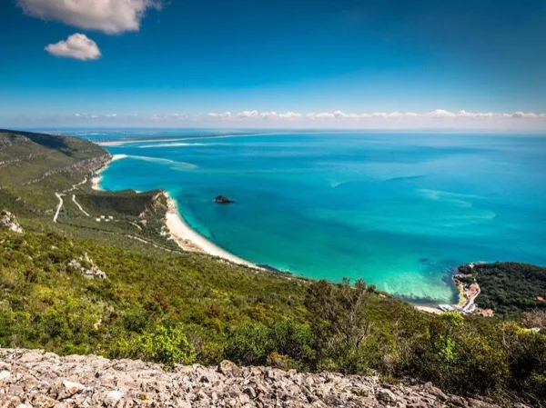Explore Nature of South Bank Lisbon with your local guide