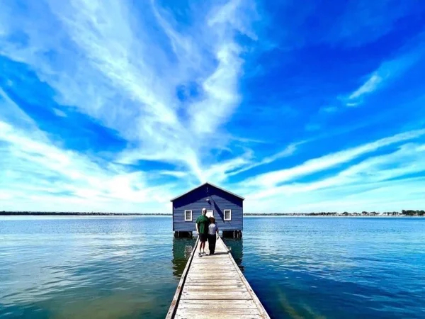 Cover media image