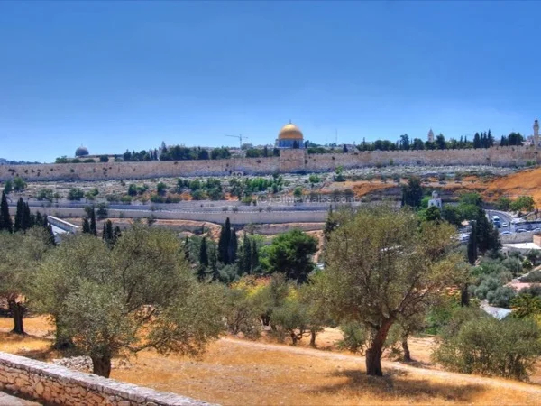 Walk through the Mount of Olives with your local guide