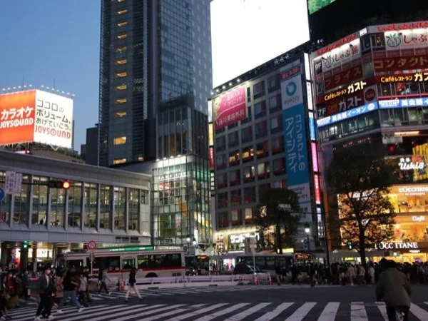 Tokyo Night Tour with Karaoke