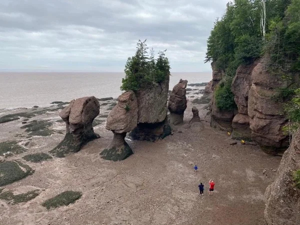 Full-Day Highlights of Saint John Private Shore Excursion