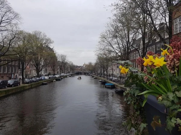 Illustrious Symbols of Tolerance - Amsterdam Freedom Tour
