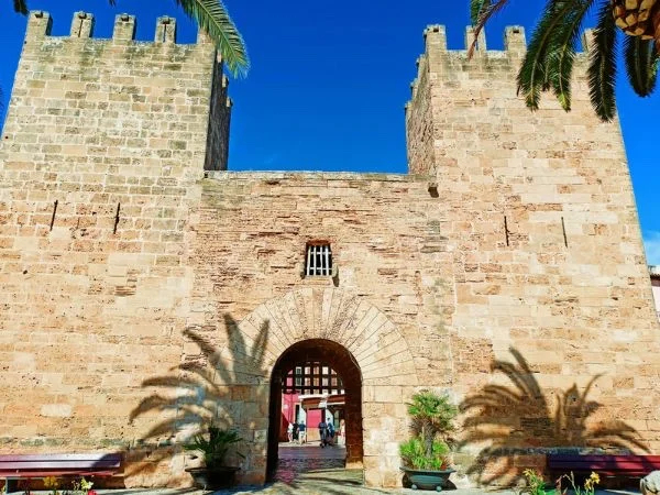Cover media image