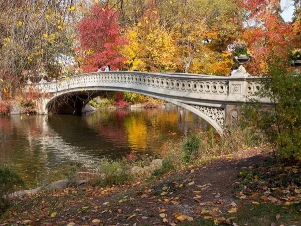 Enchanted in Central Park and Roosevelt Island