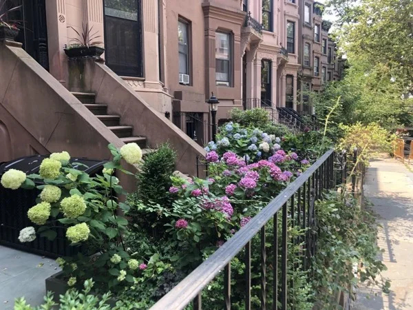 A Stroll Through Park Slope Brooklyn with a Native .. and GREAT Pizza!