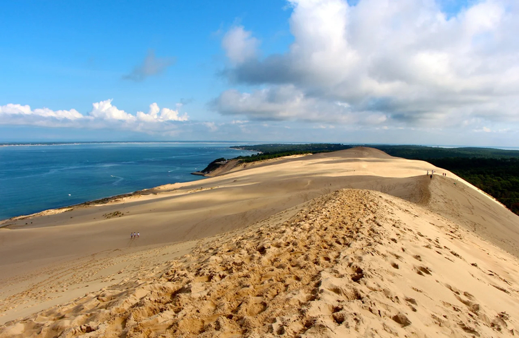 Cover media image