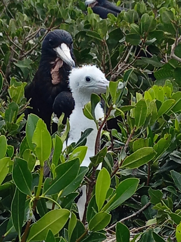 Cover media image
