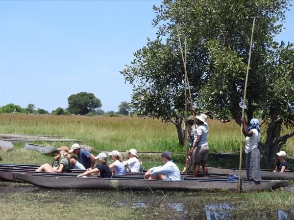 Explore beauty of the Okavango delta with your local guide