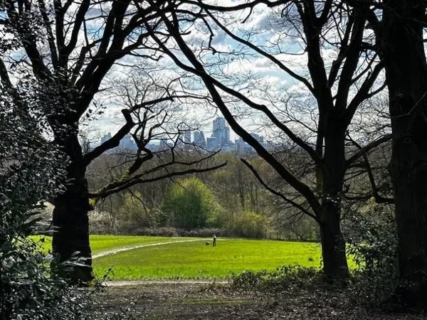 Hampstead Village and the Heath - Private Tour