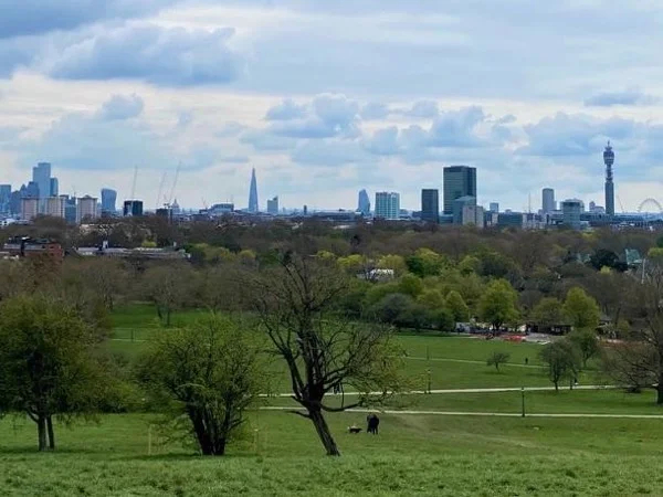 Camden Town and Primrose Hill - Private Tour