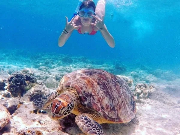 Dive to a tropical paradise of Gili Islands - Island Hopping & Snorkelling Tour at Lombok