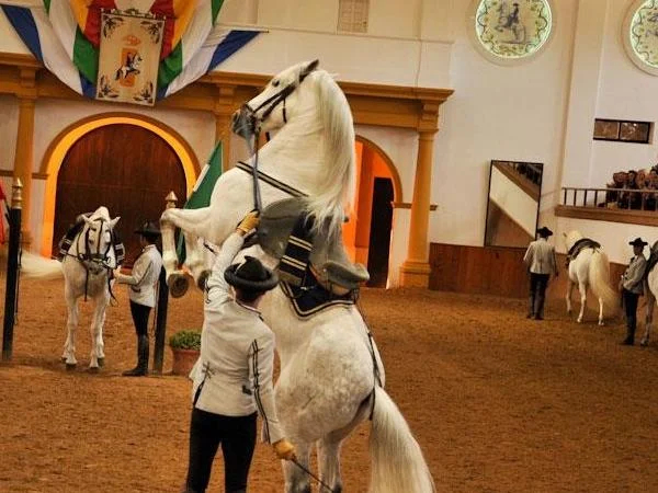 Jerez full day Journey of Andalusian Traditions