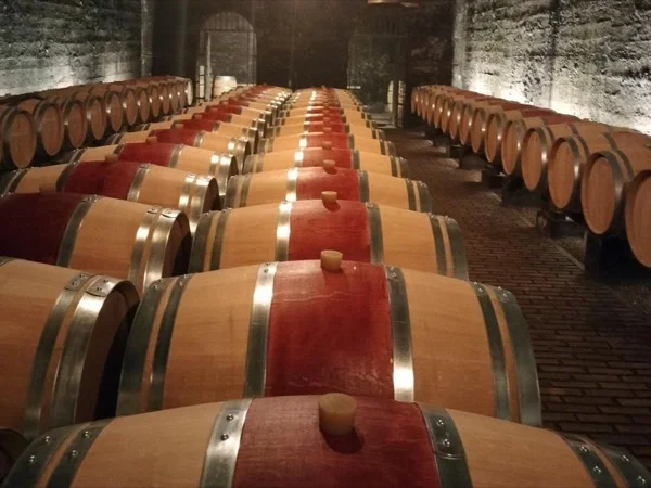 Châteauneuf du Pape and Rhône Valley, exclusive wine tastings, with your local guide!