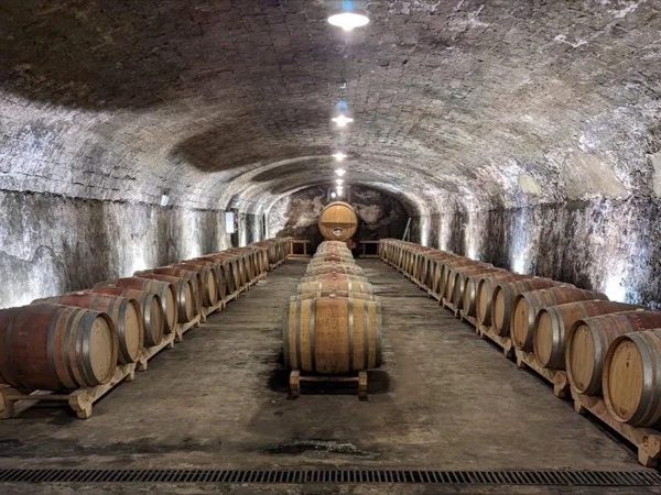 Wine tour in Rhône Valley, discover the best of this unique terroir with your local guide