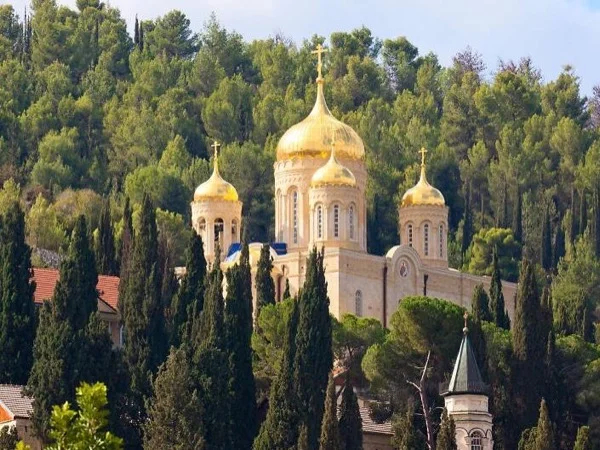 Enjoy with the Beautiful views of Ein Karem and Bethlehem with your local guide