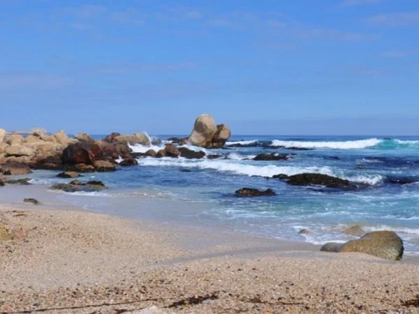A Poetic Coastline