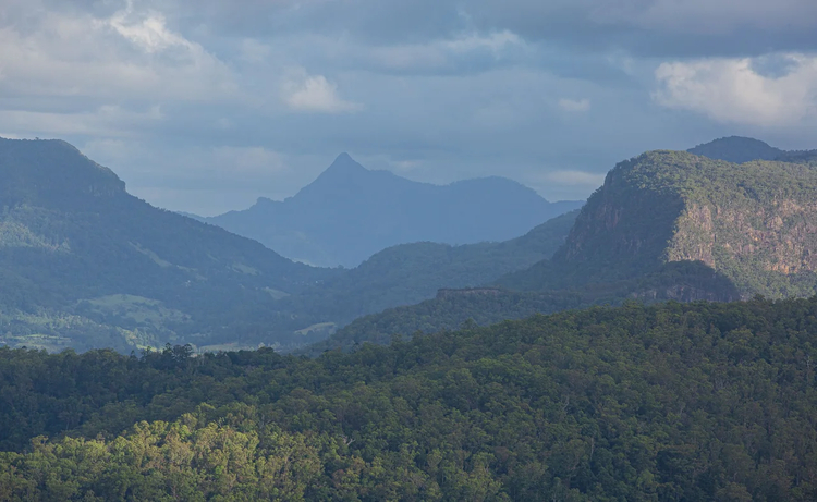 Cover media image
