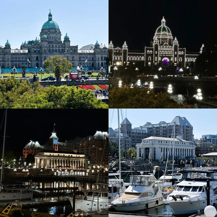 Cover media image