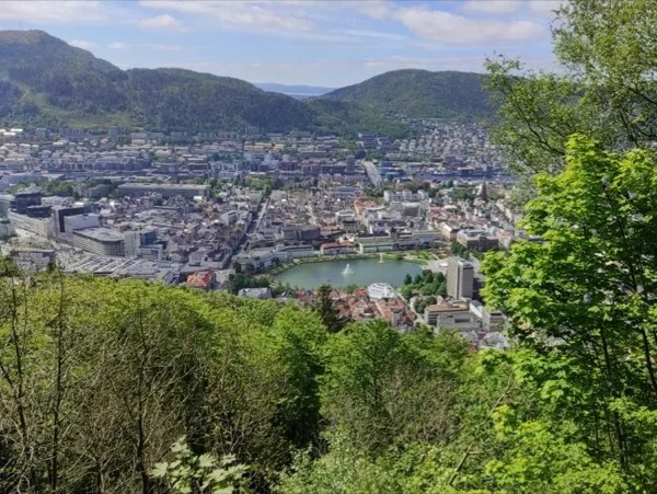 Enjoy Bergen Mountains Like a Local Shore Excursion - Funicular Ride Included!