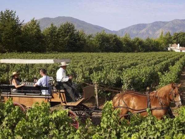 Colchagua Valley with two wineries and colchagua Musseum