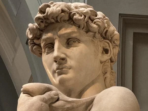 The Accademia Gallery of Florence - Half Day Private Tour