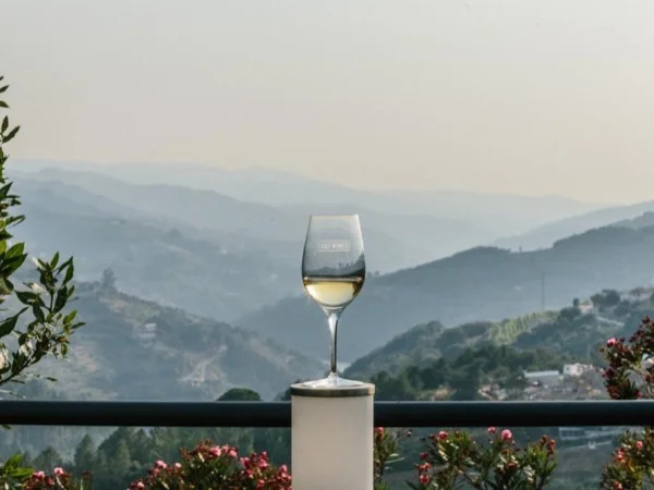 Vinho Verde Full-Day Premium Wine Tour