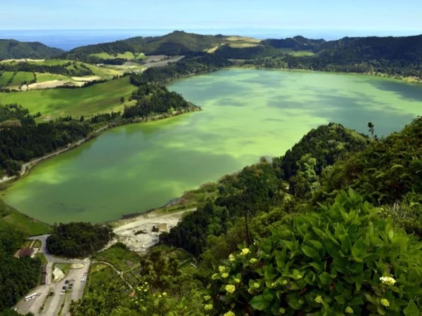 Cover media image