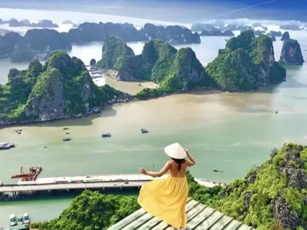 Ha Long Cruise Shore Excursion Half Day Private City Tour